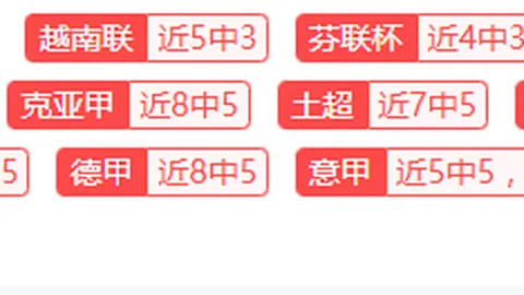 米兰新帅人选锁定前西班牙国脚，年轻教练有望执掌红黑军舵