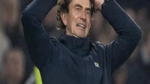 “中国企业国际化战略深度解析：探讨‘走出去’战略视角”