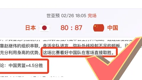 大乐透期号专家质合分析：贝西克塔斯调整策略
